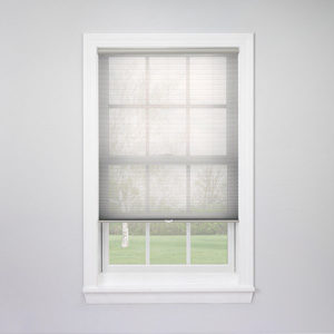 Sheer Pleated Shades allow the most sunlight and the least privacy
